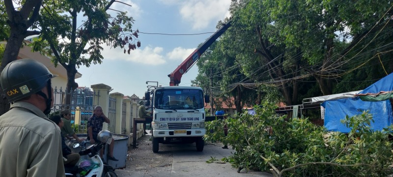UBND phường Giếng Đáy phối hợp cùng ban dịch vụ công ích Thành phố tiến hành cắt tỉa cây xanh tại tổ 6 khu 1 phường Giếng Đáy