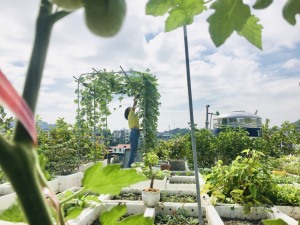 Bảo đảm an ninh, an toàn thực phẩm trong tình hình mới 