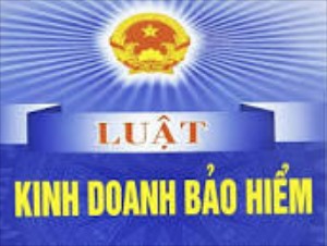 Giới thiệu Luật Kinh doanh bảo hiểm (có hiệu lực từ 01/01/2023)